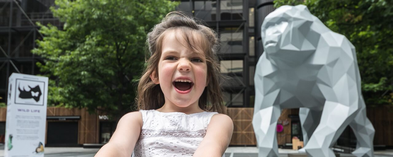 Meet Gus, Marokka’s new addition which comes in two very different sizes!