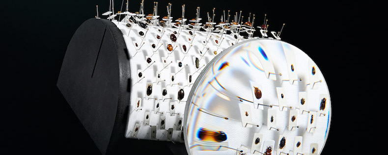 An Invitation – Matter of Fact, Tuesday 22nd May