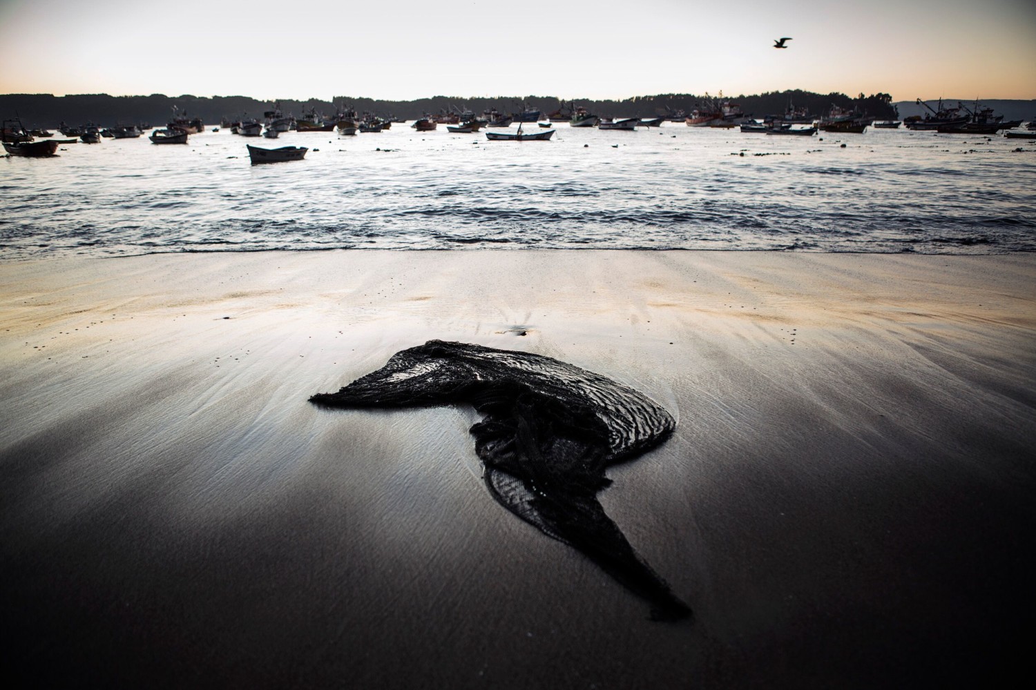 Humanscale improves health and comfort in the workplace